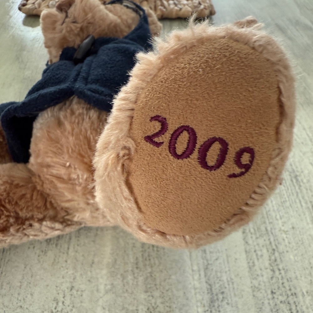 Burberry 2009 Brown Teddy Bear with Navy Blue Hoodie-signature Burberry pattern. - Picture 4 of 8
